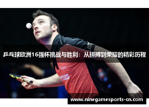 乒乓球欧洲16强杯挑战与胜利：从拼搏到荣耀的精彩历程