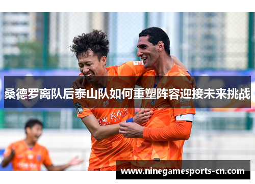 桑德罗离队后泰山队如何重塑阵容迎接未来挑战