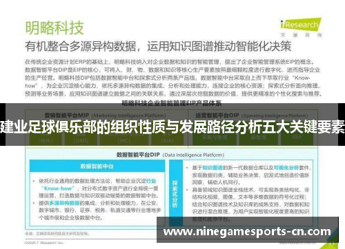 建业足球俱乐部的组织性质与发展路径分析五大关键要素
